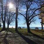 Adoris Im Lotzbeckpark Am 